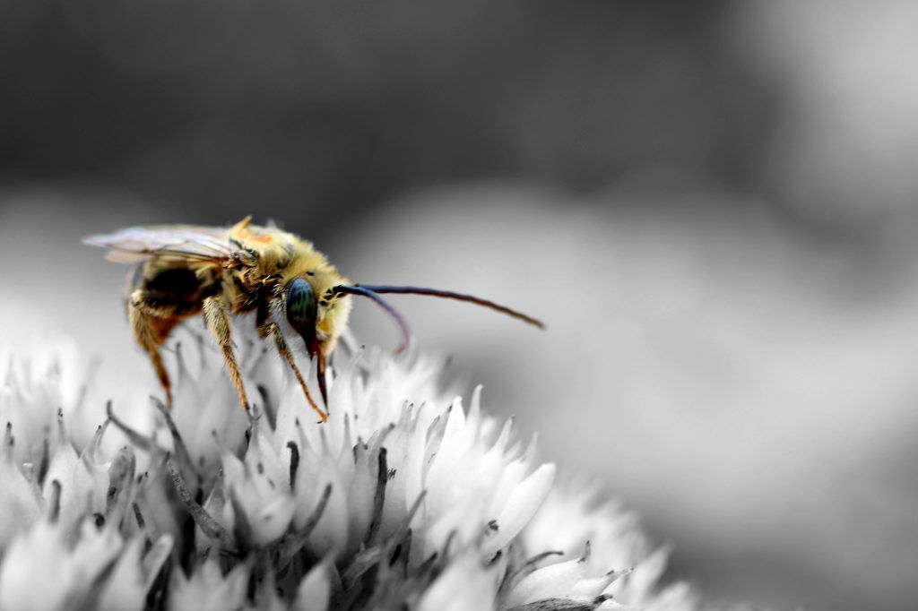 Фото: unsplash.com