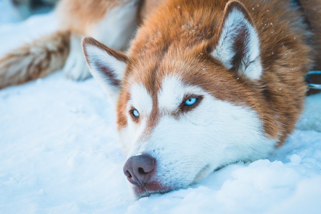 Фото: unsplash.com