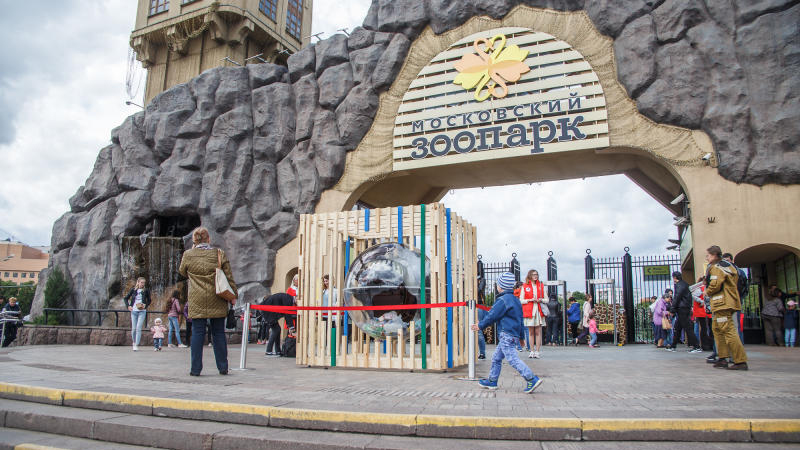 Московский зоопарк. Михаил Подобед, «Вечерняя Москва»