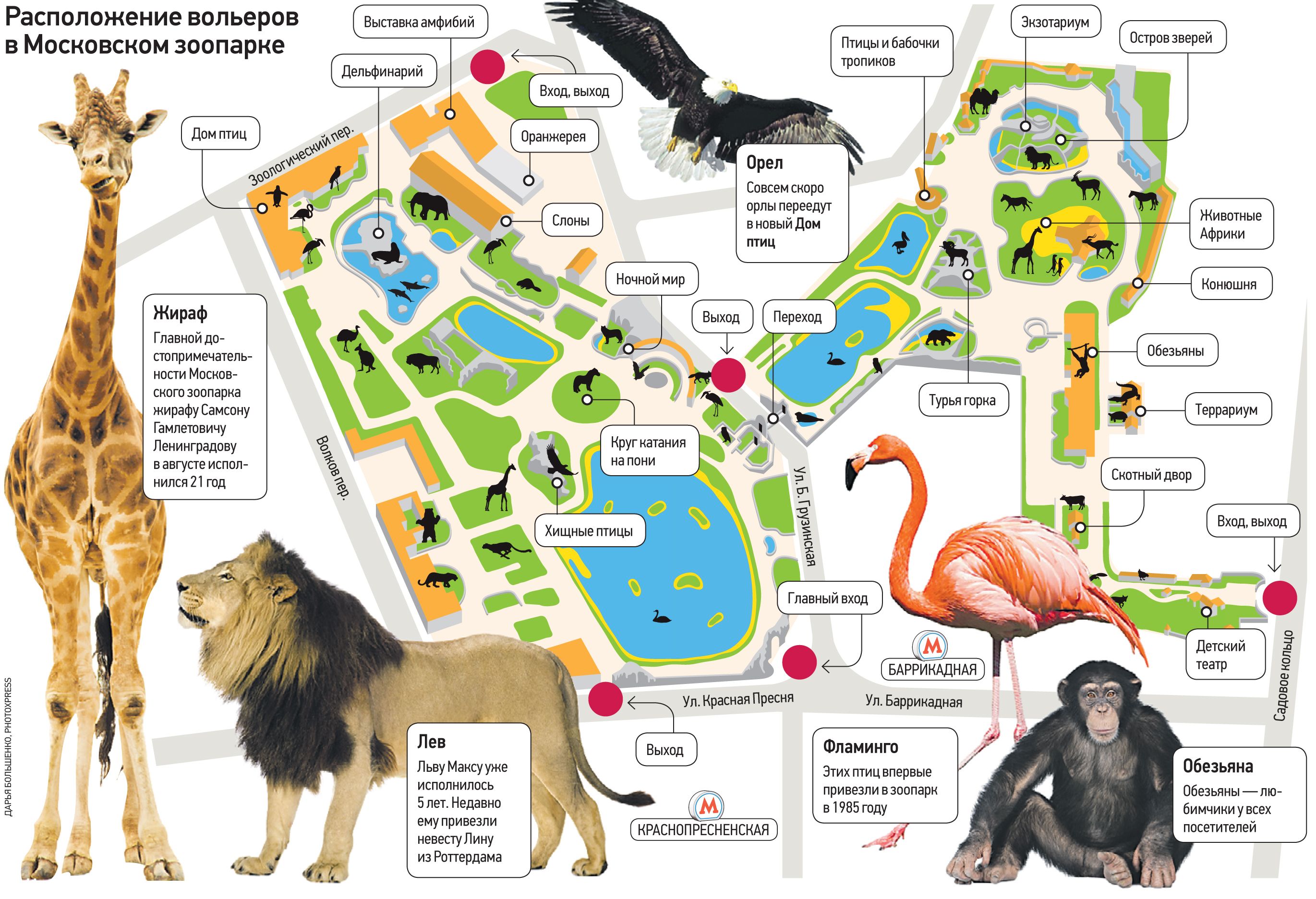 Московский зоопарк карта зоопарка 2021. Московский зоопарк план схема. Билеты в зоопарк москва баррикадная