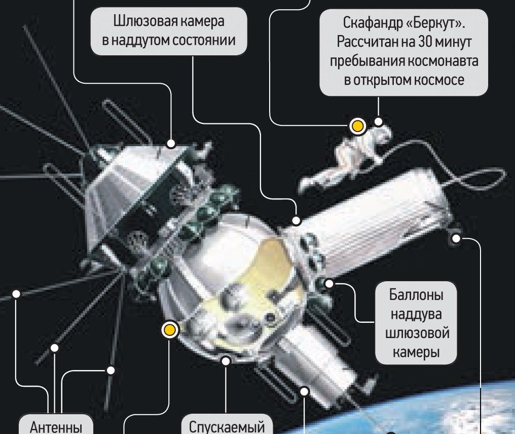 Превью инфографики