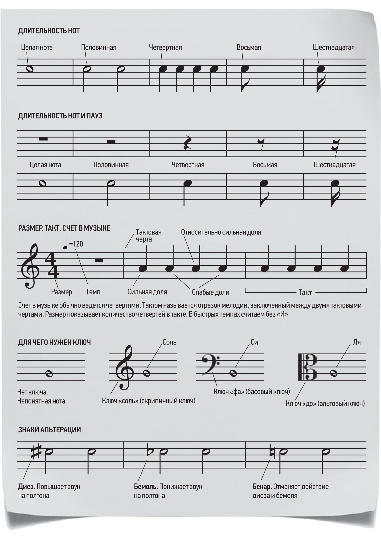 Покажи такту. Длительности нот. Целая Нота Длительность. Счёт нот в Музыке. Обозначения в нотной тетради.