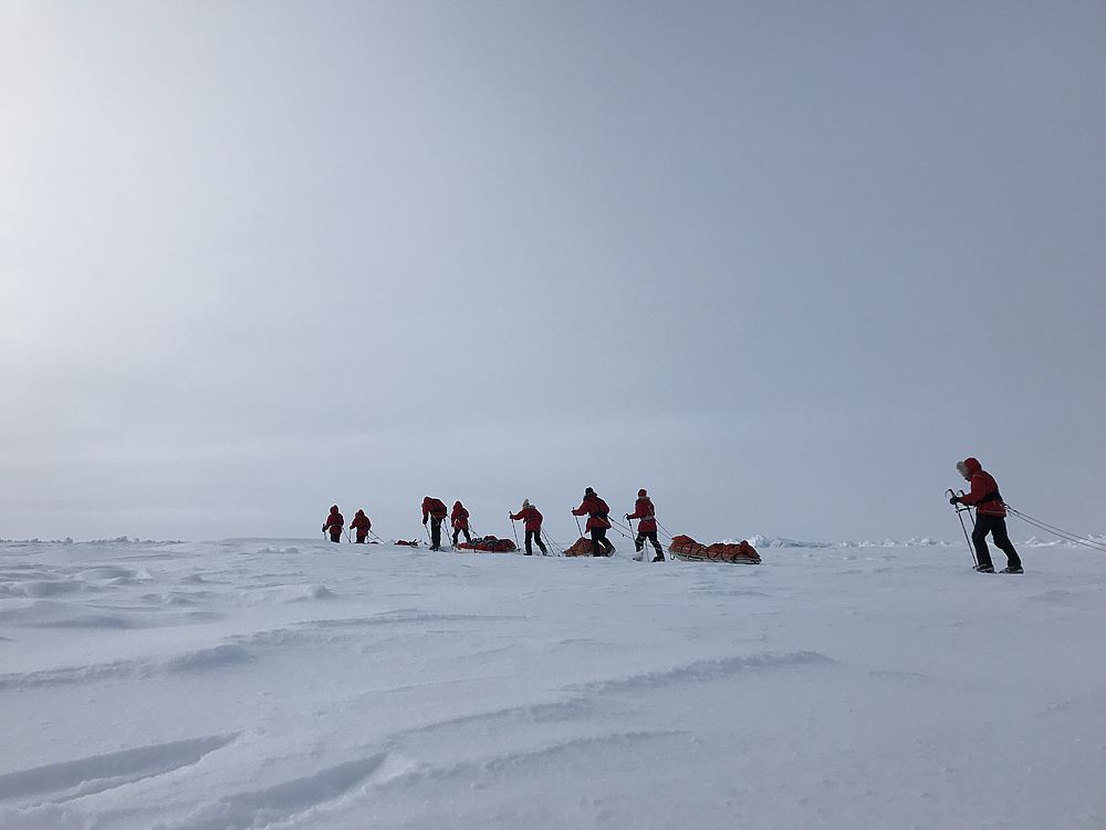 14 московских школьников отправятся в экспедицию на Северный полюс