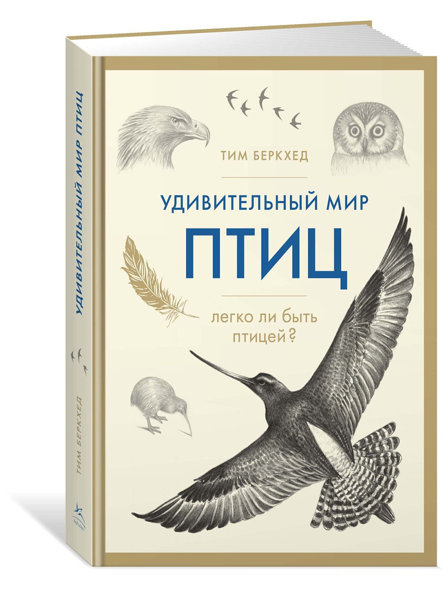 Птицы отзывы. Удивительный мир птиц книга тим Беркхед. Тим Беркхед удивительный мир птиц легко ли быть птицей. Книга в мире птиц. Книги о птицах.