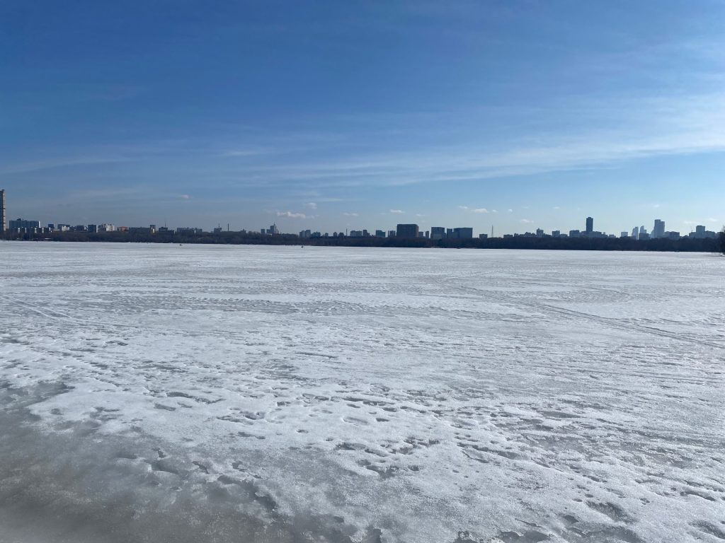 На прудах лед обычно тает чуть позже, чем на реках, где есть течение / Полина Кулакова