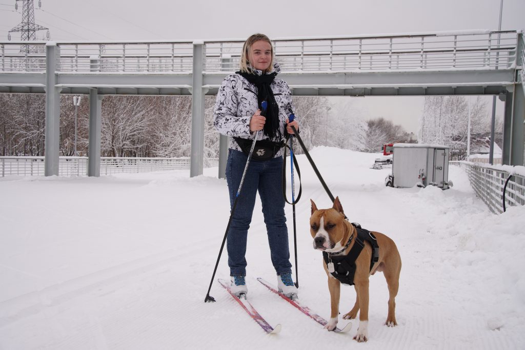 Диана Кораблева со своим питомцем Грейтом на лыжной трассе в Марьинском парке