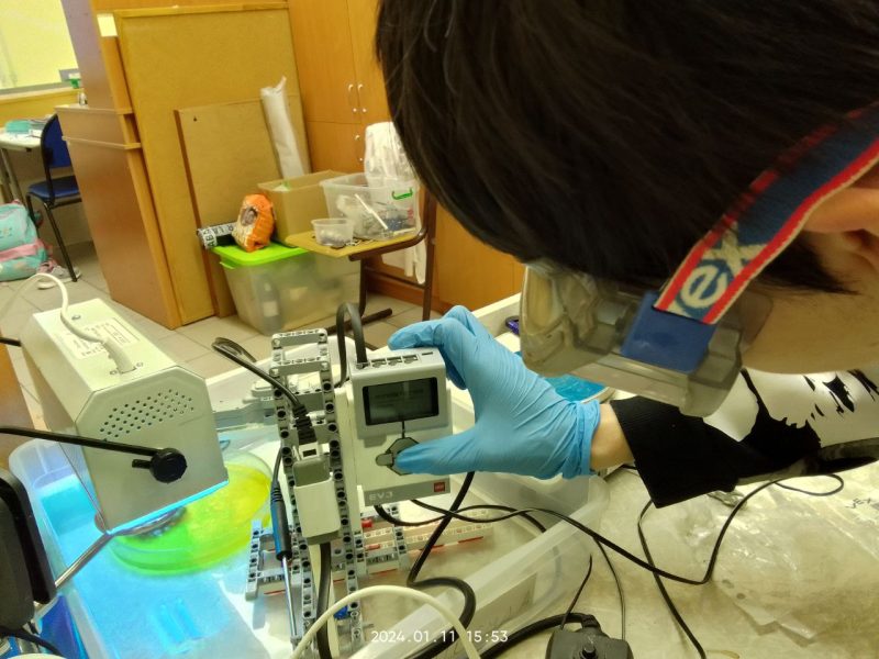 Московский школьник придумал способ очистки водоемов с помощью обычного поролона и нанотехнологий