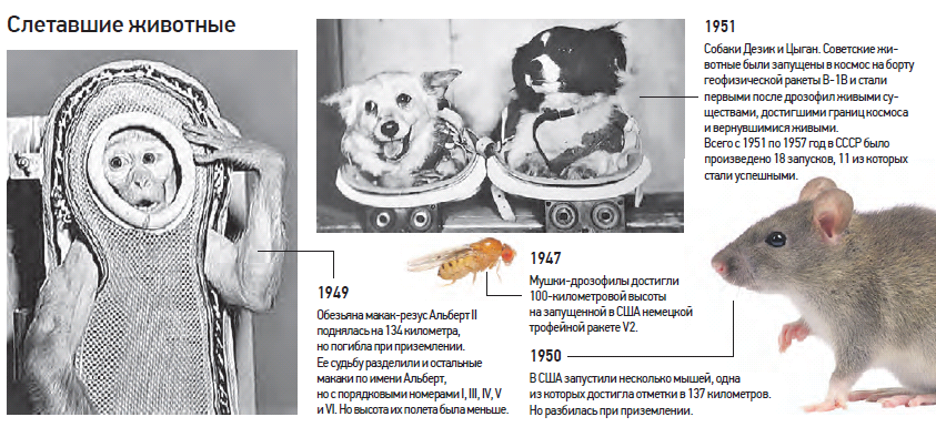 Сначала к звездам полетели друзья человека