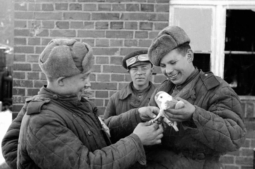 Изображение новости