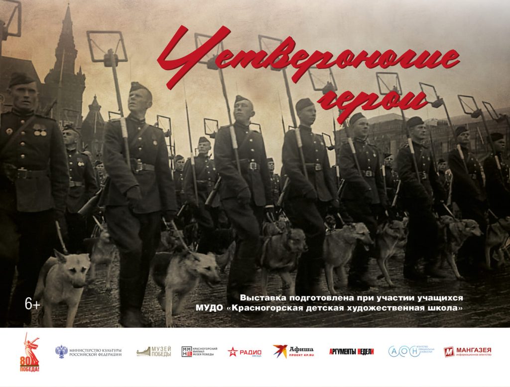 Изображение новости