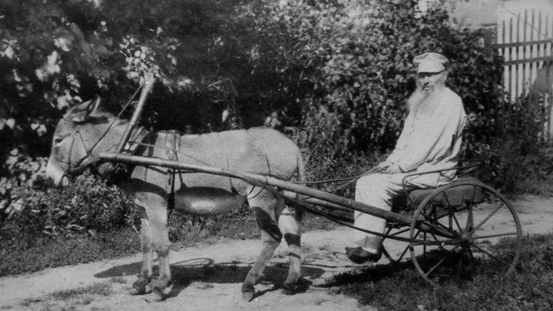 Изображение новости